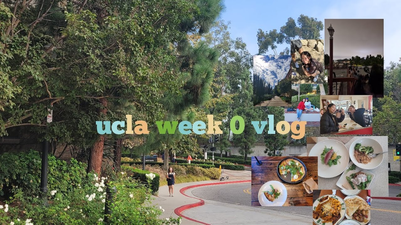 college week 0 vlog