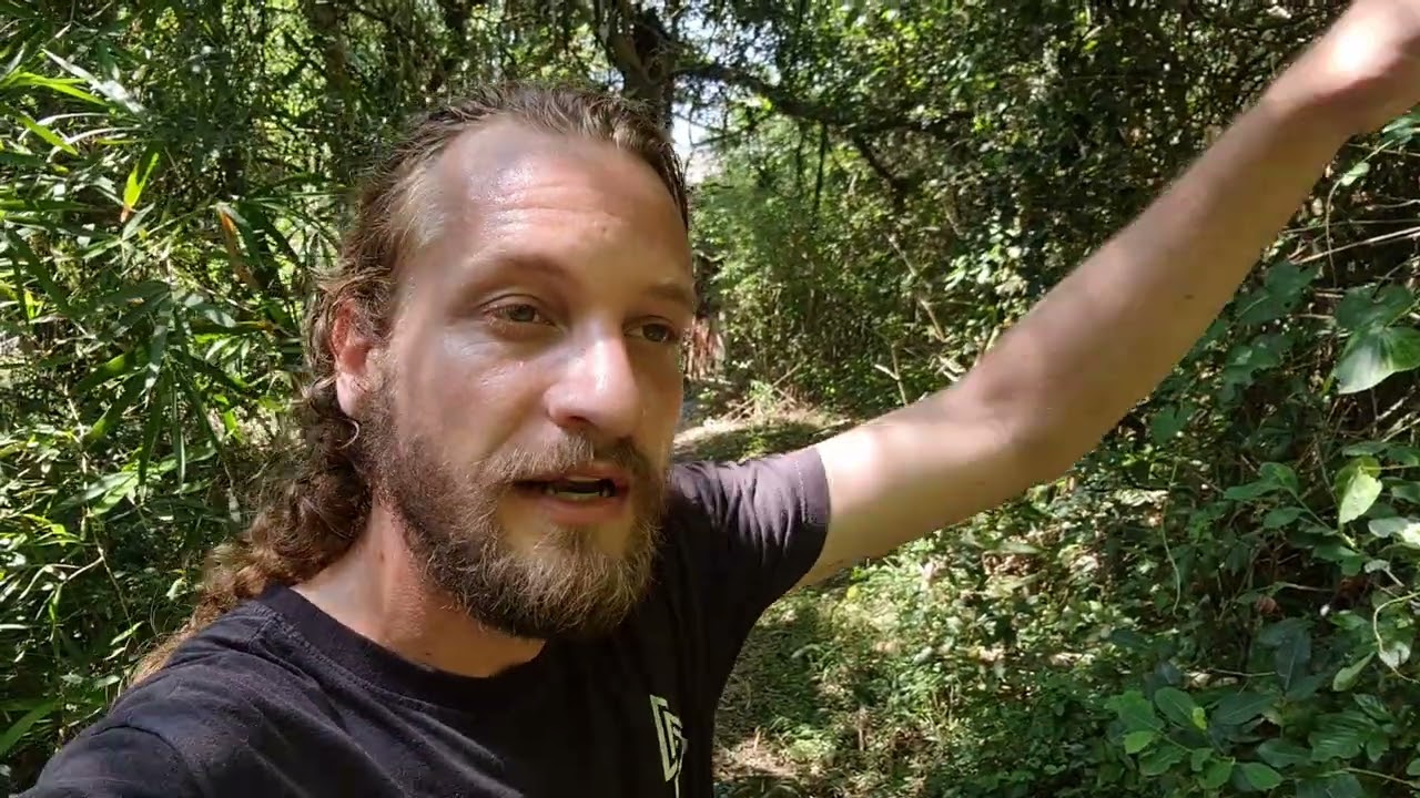 Não seja um NPC - Conclua suas quests