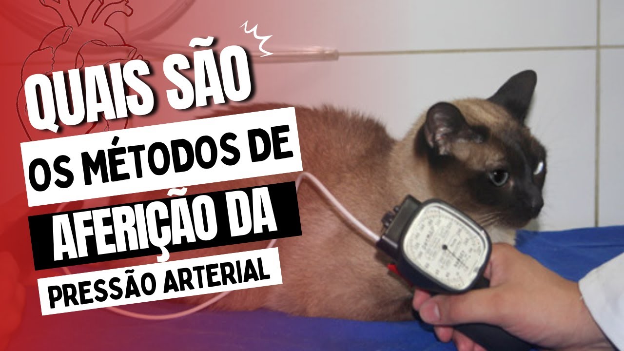 MÉTODOS DE AFERIÇÃO DE PRESSÃO ARTERIAL EM CÃES E GATOS