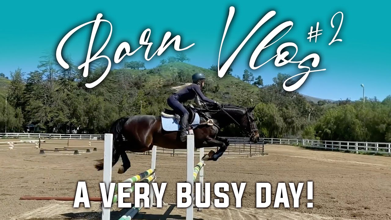 Barn Vlog #2: Quarantine Edition + Jumping