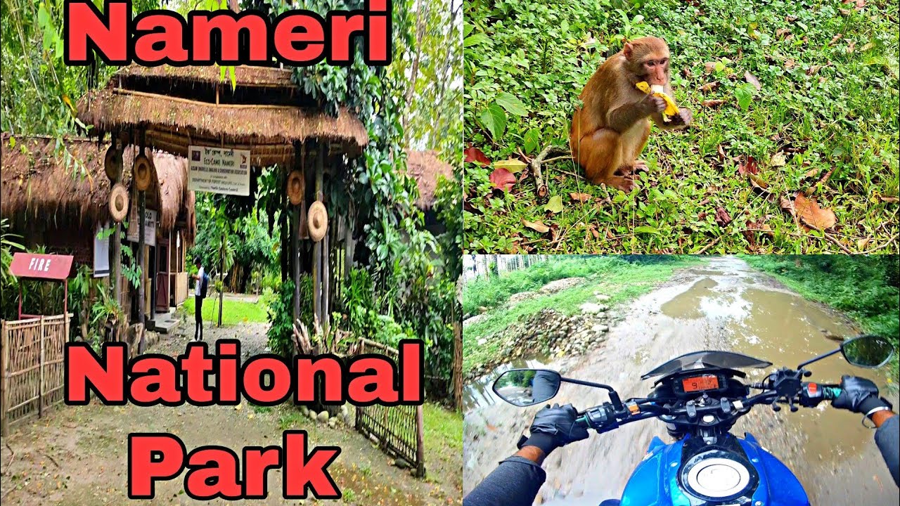 Tezpur To Nameri Ride.Nameri National Park. Eco Camp.Gyp Vlogs.