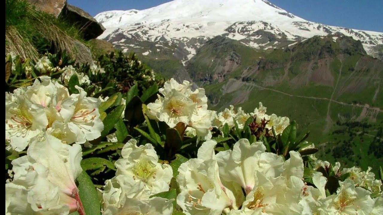 2026  -   02  -  15    Вечер