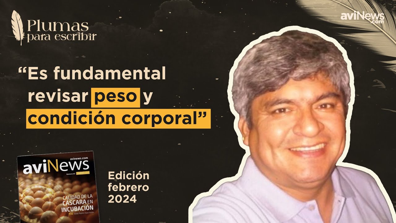 Cómo aumentar la fertilidad de las aves: Fertilidad de los machos - Juan José Garay Portilla