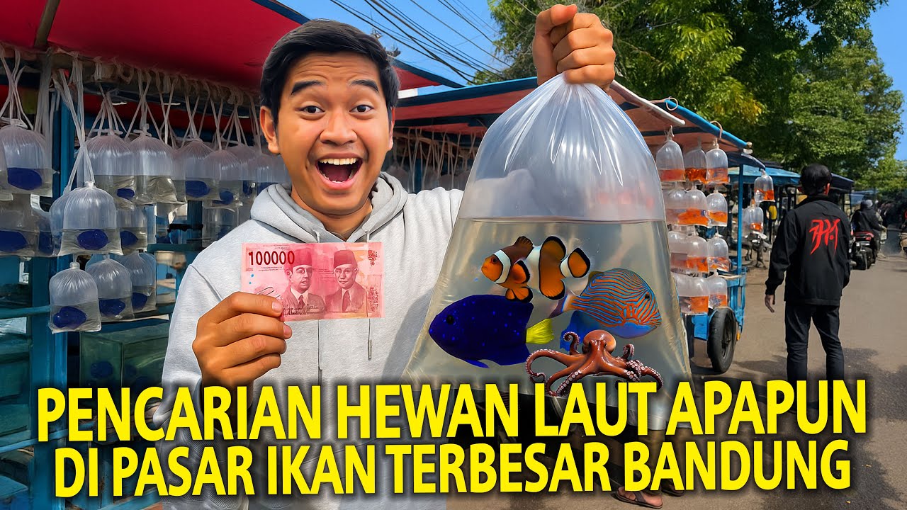 PENCARIAN HEWAN LAUT APAPUN DI PASAR IKAN TERBESAR BANDUNG! KAGET TERNYATA BANYAK YANG BERUBAH!