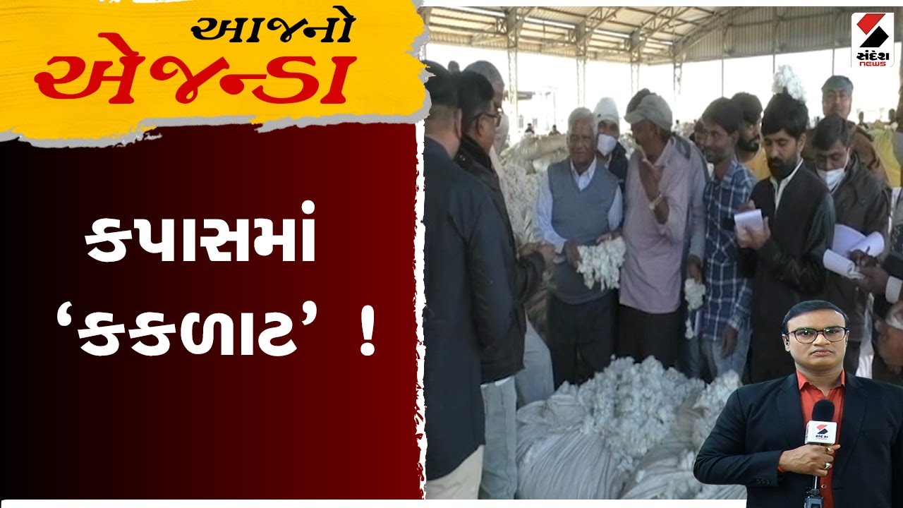 Aajno Agenda | કપાસમાં 'કકળાટ' ! | Cotton | Farmer | Gujarat | Sandesh News