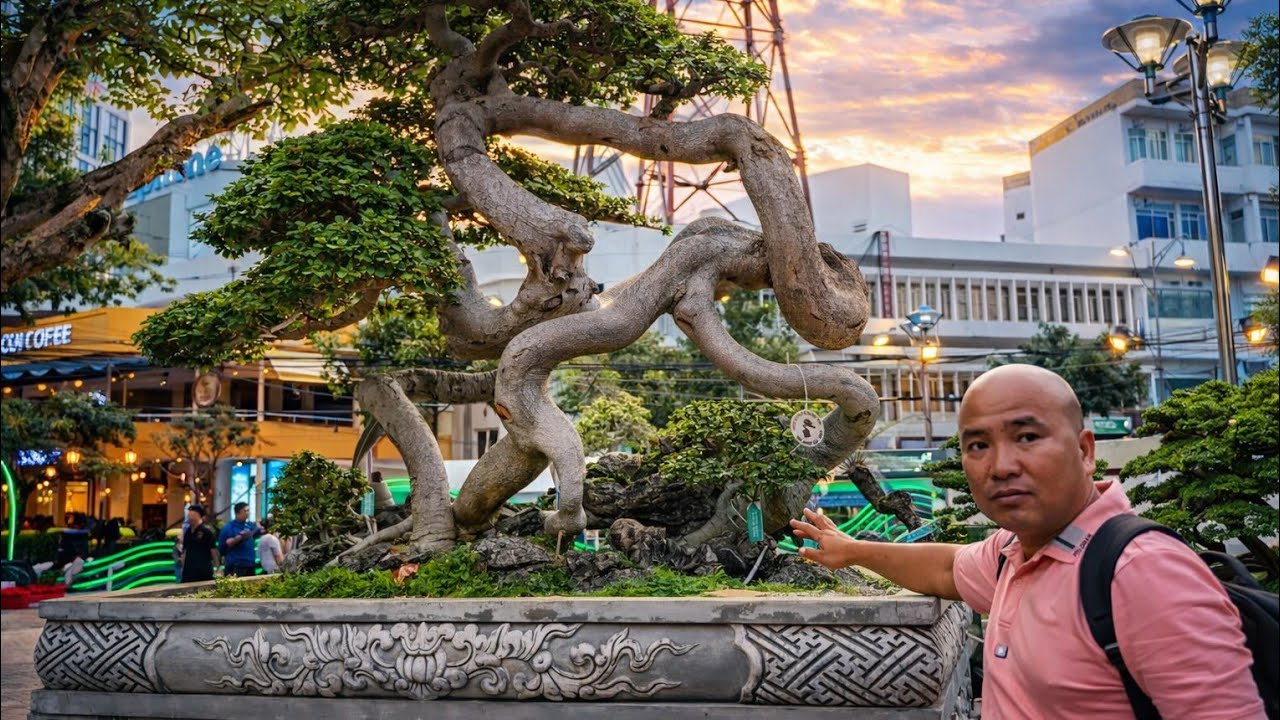 BẤT NGỜ NHIỀU BONSAI ĐẸP TẠI HỘI HOA XUÂN NHA TRANG 