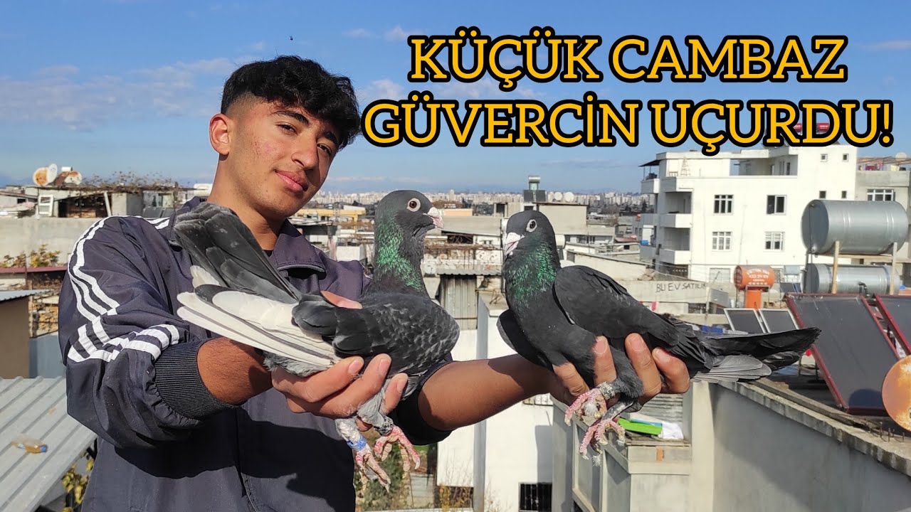 Küçük Cambaz Güvercinleri Uçurdu..