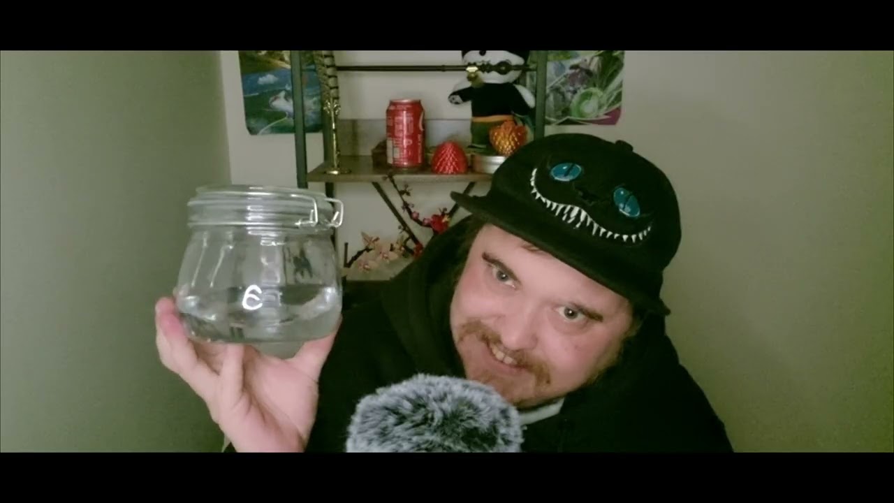 Sounds to Melt Your Brain #asmr 