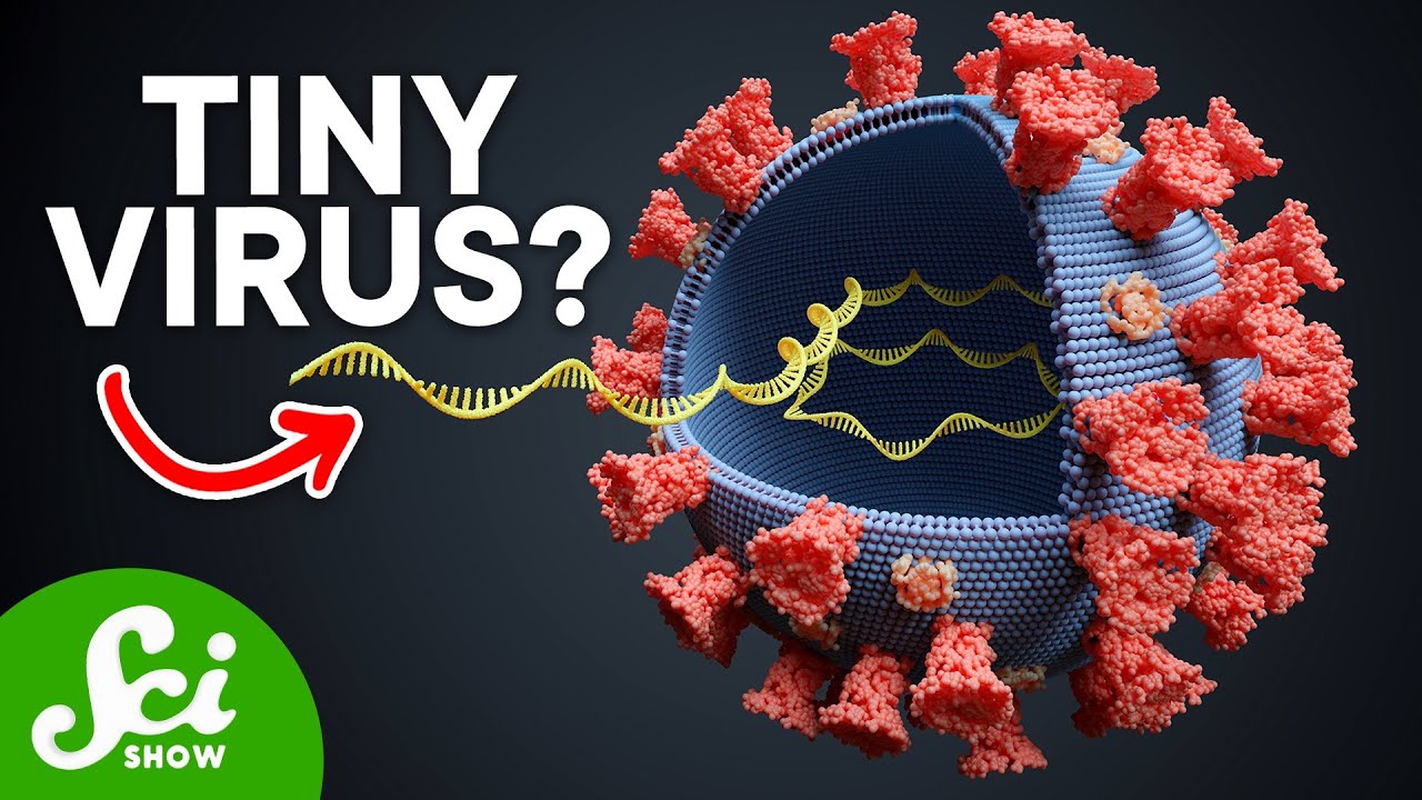 The Smallest Pathogen on Earth: Viroids Explained