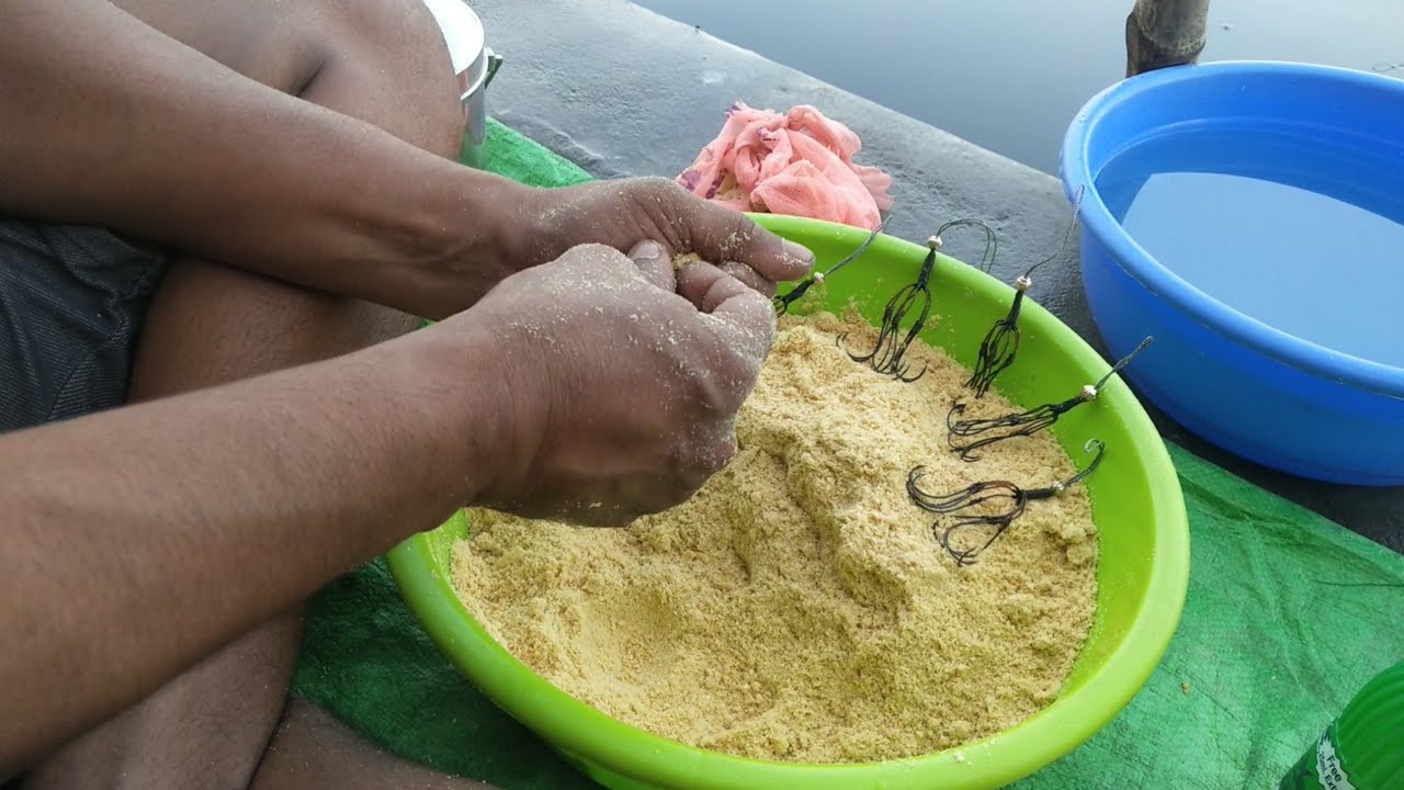 অশোকনগর পীর পুকুর // Fishing Video ✅// 🎣 Traditional Hook Fishing // ‎@Hookfisher 
