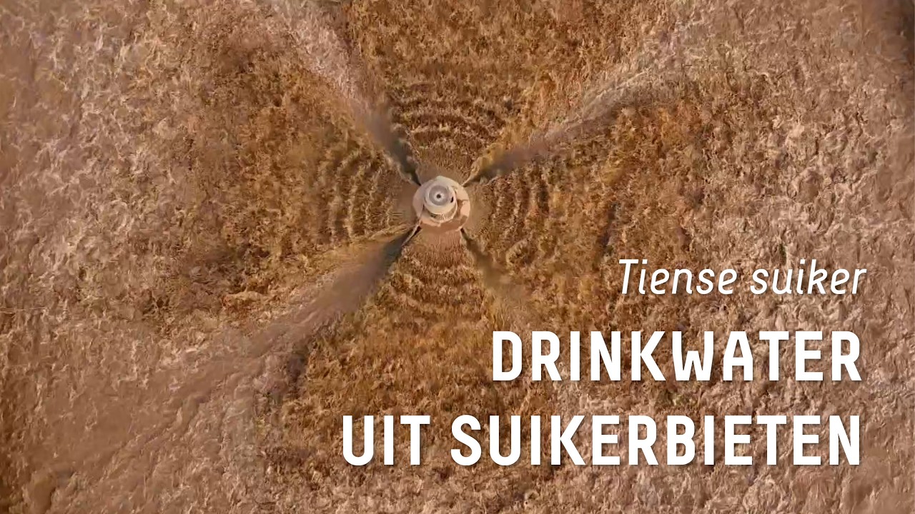 Tiense suiker zorgt voor duurzame innovatie - Veilig drinkwater uit suikerbieten