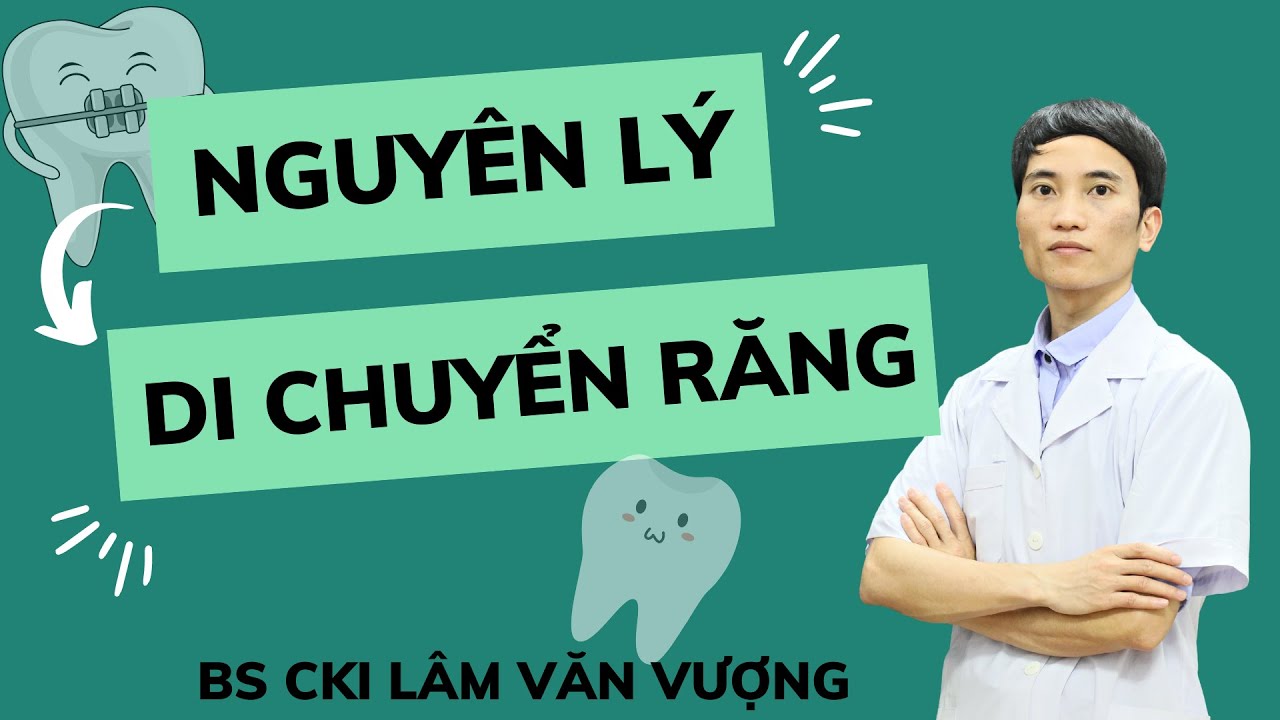Nguyên Lý Di Chuyển Răng Trong Chỉnh Nha | Cơ Sinh Học Trong Chỉnh Nha
