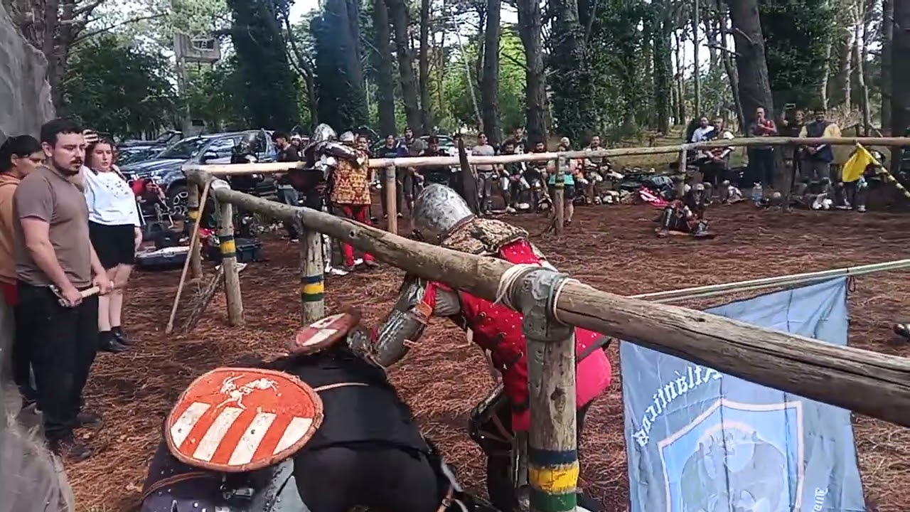Dragones amarillos vs centinelas