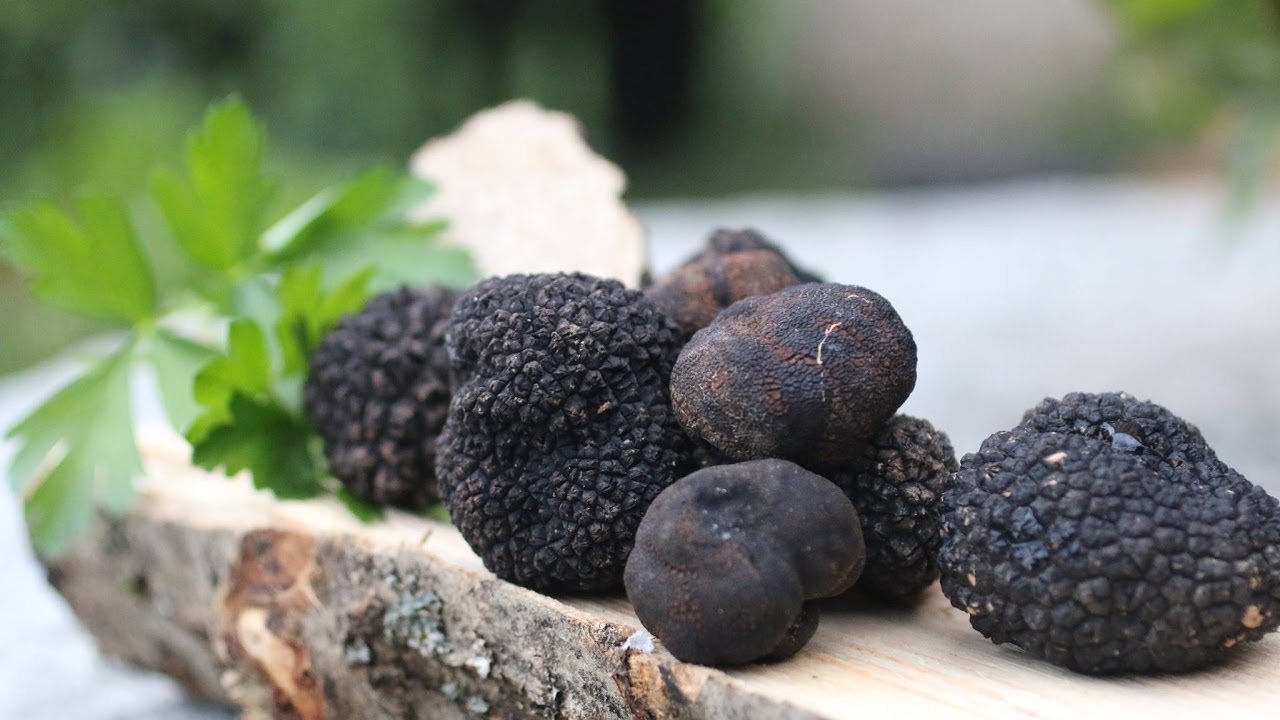 The secret of how to cook black truffles.
