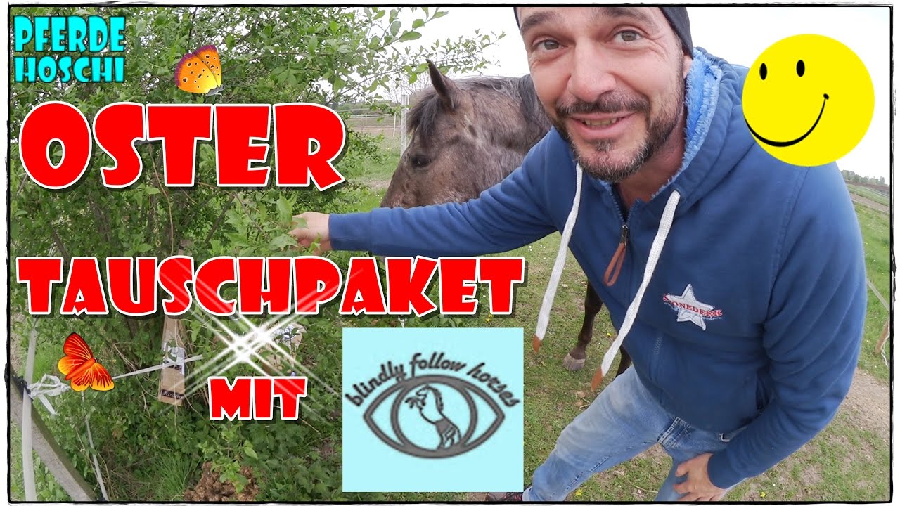 OSTER Tauschpaket Unboxing mit Jenny | Pferde Hoschi