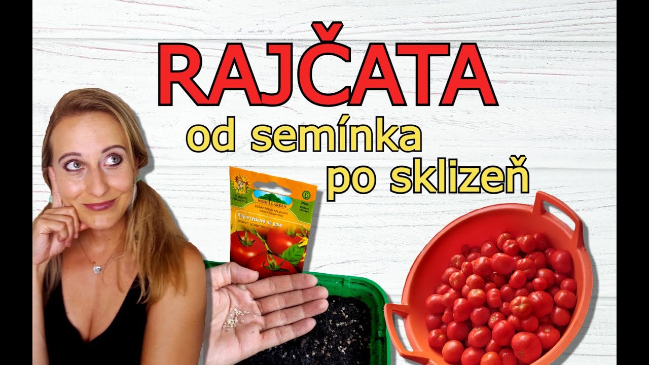 RAJČATA: PĚSTOVÁNÍ RAJČAT OD SEMÍNKA PO SKLIZEŇ | VÝSEV, PIKÝROVÁNÍ, ZAŠTIPOVÁNÍ, OPORA, SKLIZEŇ