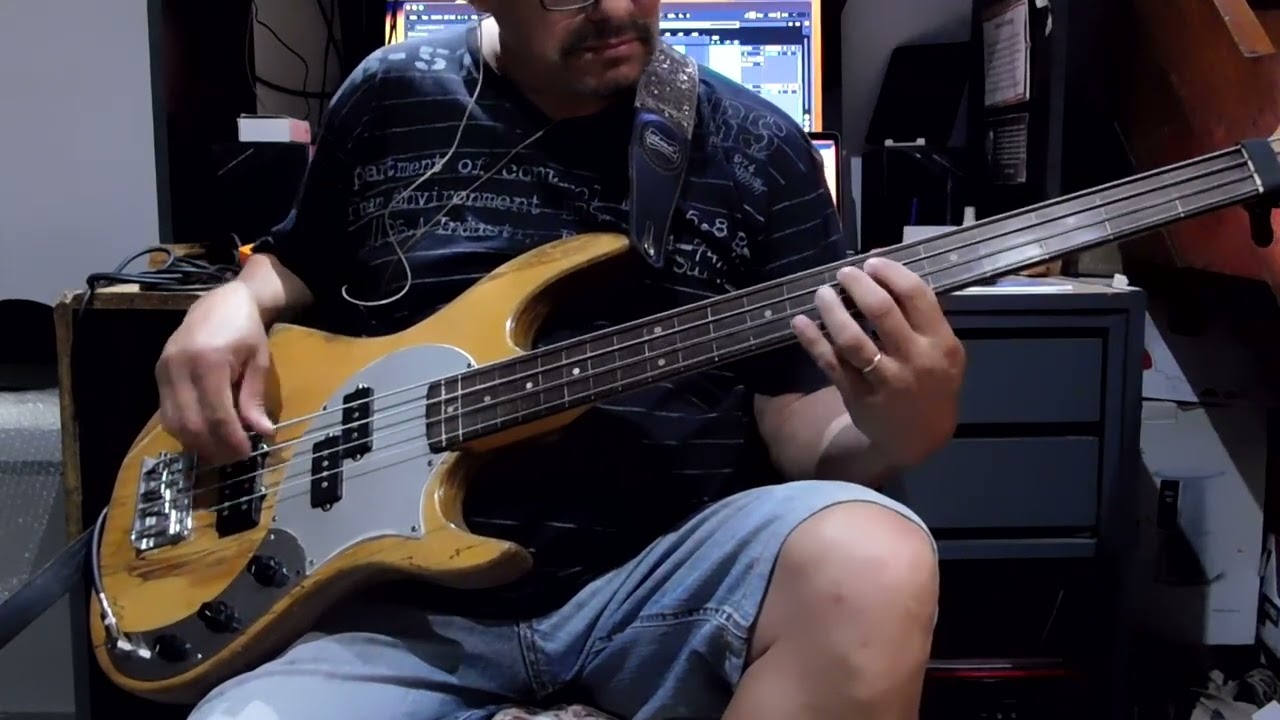 Ensayo The Chicken