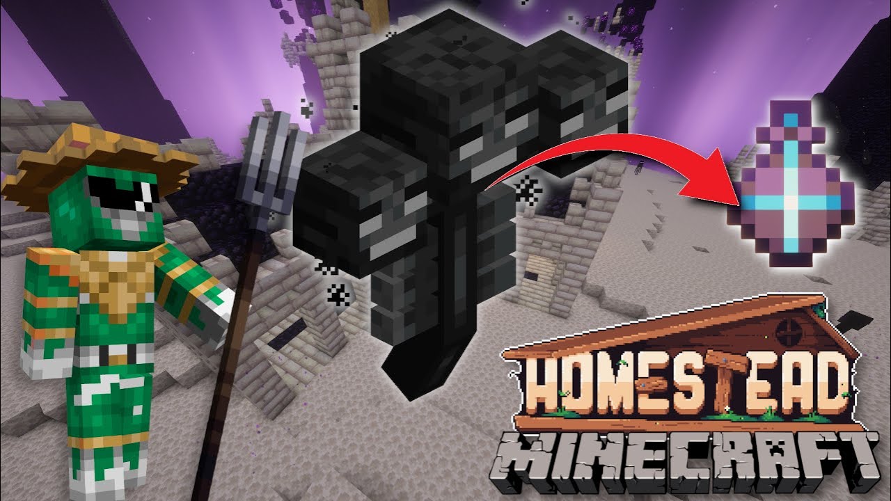 UNZERSTÖREBARE Items durch den WITHER - Minecraft HOMESTEAD #50 (Deutsch/German)