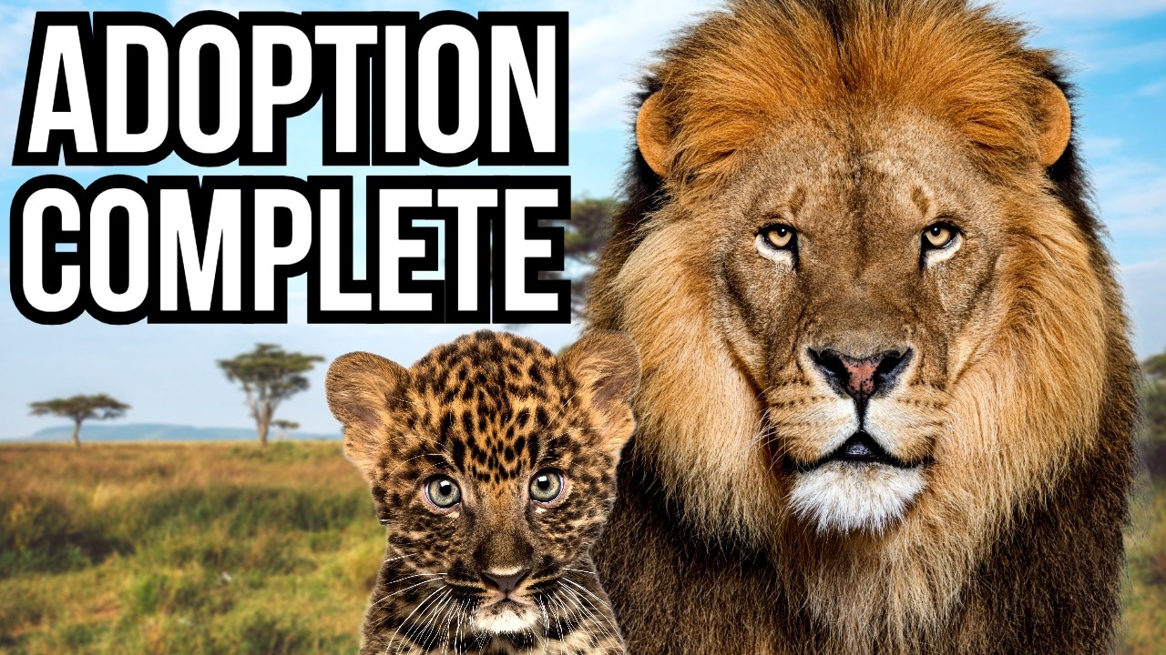 7 Times Wild Animals Adopted Other Species - Unexpected Families