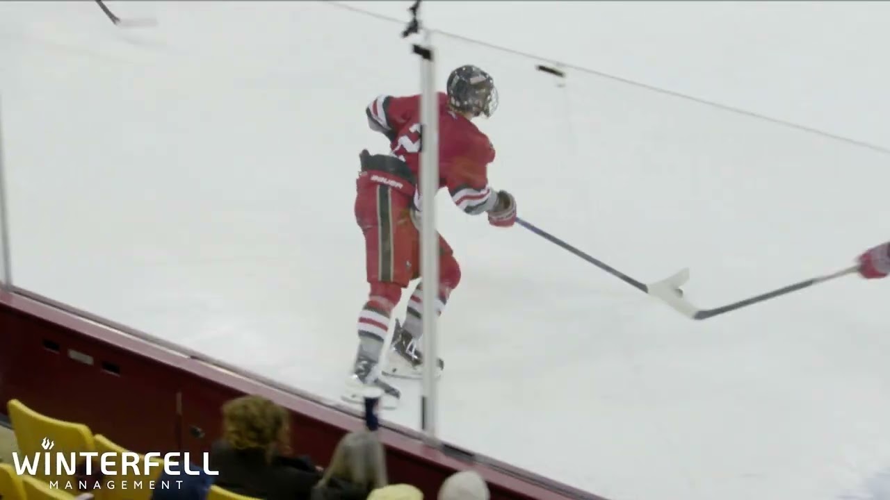 Section 7AA Semifinal HIGHLIGHTS: Rock Ridge vs Duluth East