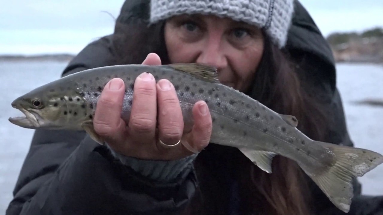 Sjøørretfiske på Hvaler 09.11. 2019. Tetra Works leverte.