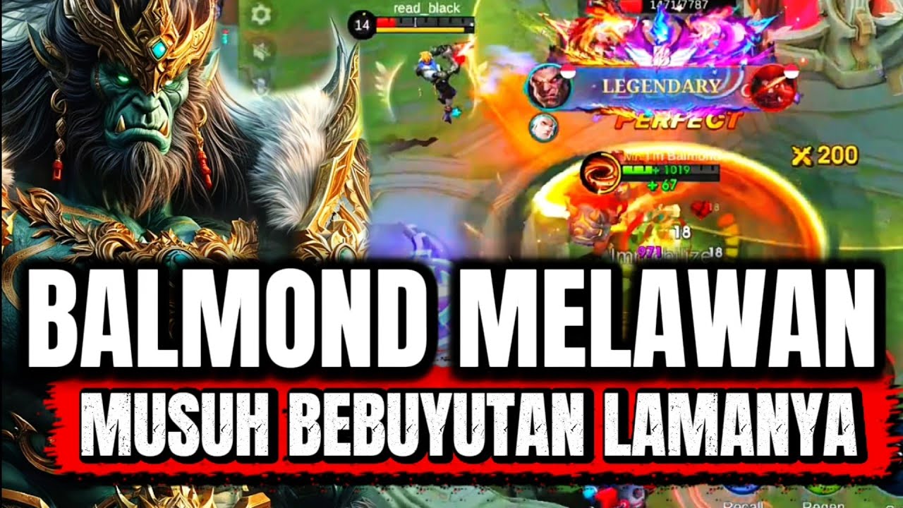 BALMOND EXP LANE MELAWAN MUSUH KEBUYUTANNYA | Balmond Best Build 2025 Exp Lane | Mobile Legends