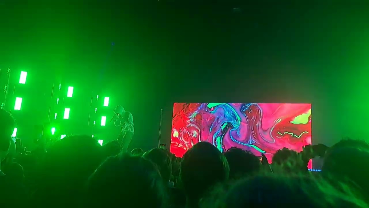 BoyWithUke - Camouflage (Live In Utrecht)