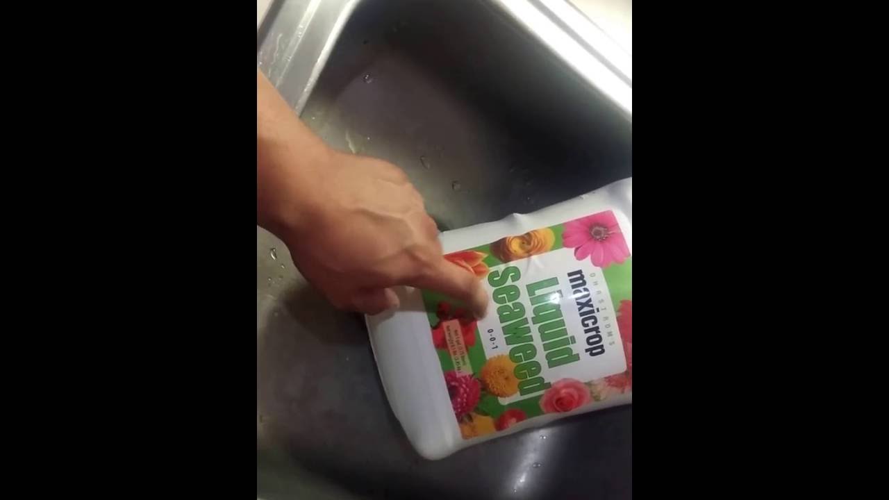LIQUID SEAWEED