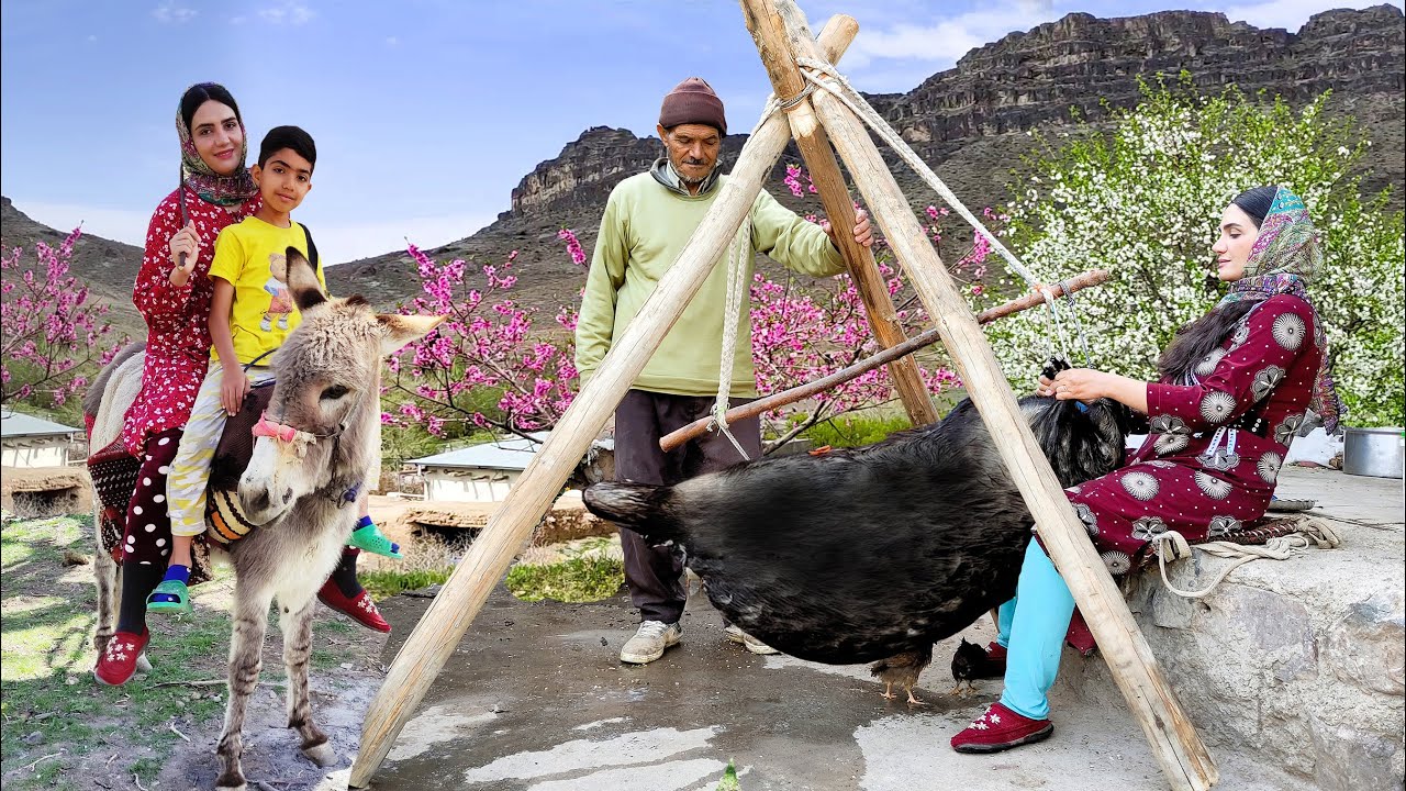 Village Lifestyle Iran: Make Traditional Butter with Goat Skin & Donkey Riding🧈🍃
