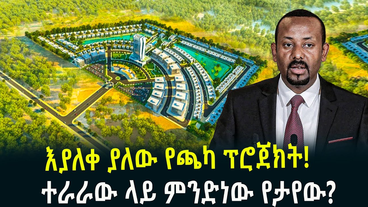 እያለቀ ያለው የጫካ ፕሮጀክትተራራው ተለውጧል! January 28, 2026