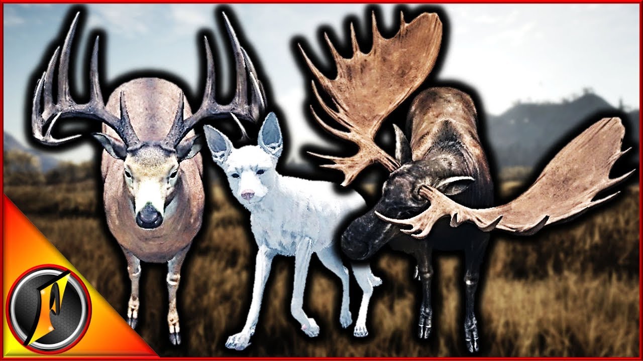 Multiplayer Delivers Again! | 2 Diamonds, 2 Rares