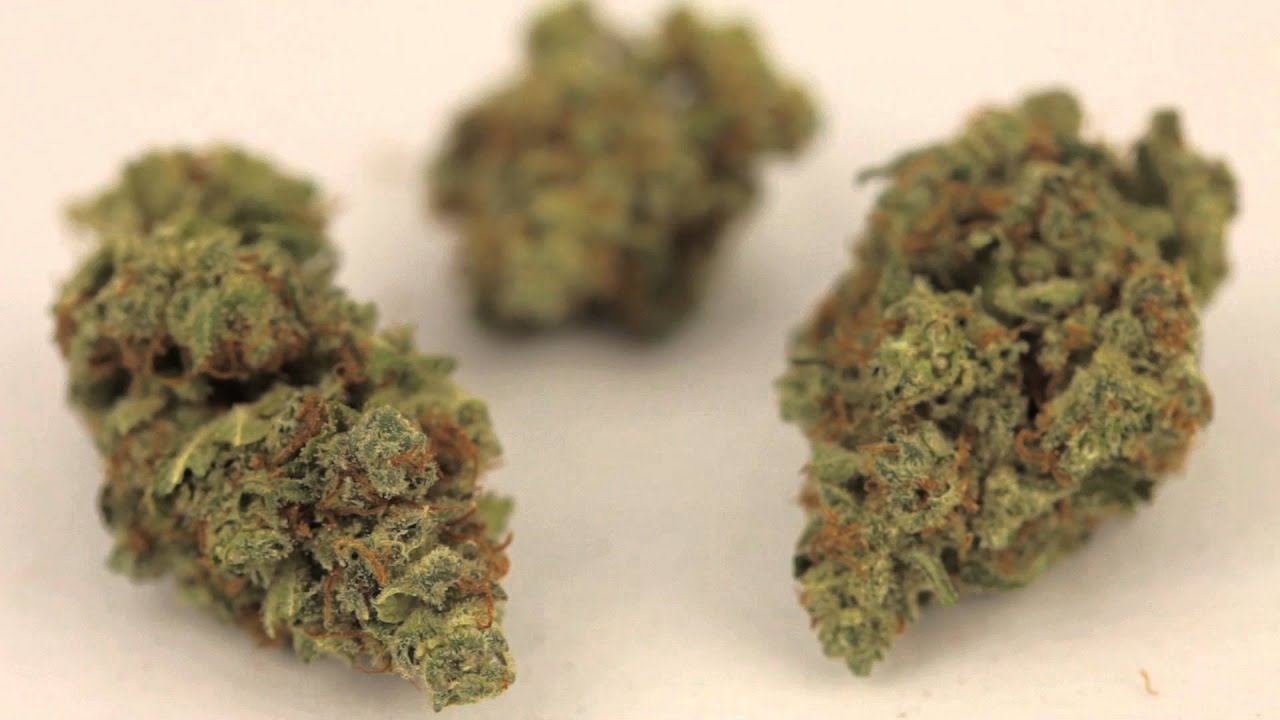 Jack Flash