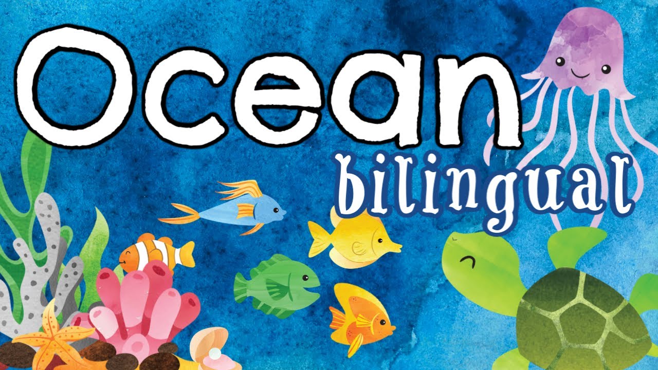 Ocean Bilingual Storytime