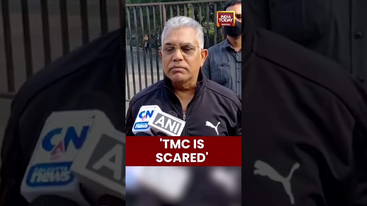 Dilip Ghosh on TMC Reaction ; Bihar Victory Sparks Political Tension in Bengal | #dilipghosh #tmc