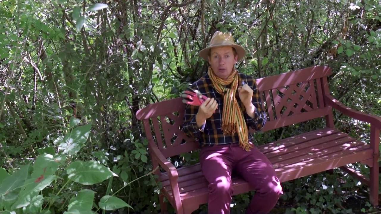 Pourquoi et comment tailler les v&eacute;g&eacute;taux en automne ?