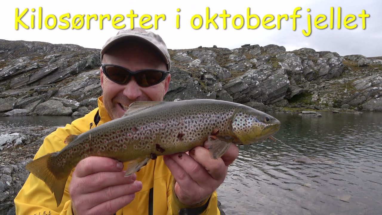 Kilosørreter i oktoberfjellet