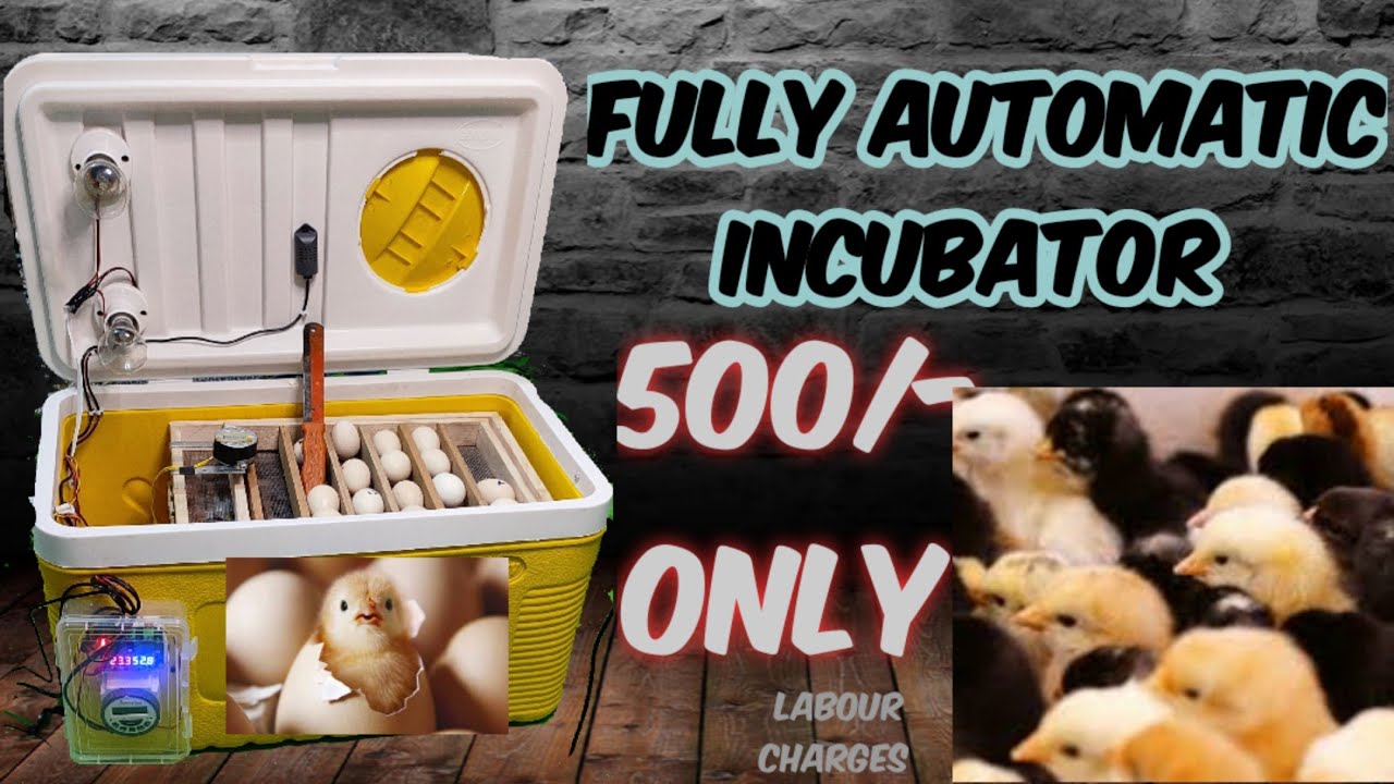 Fully Automatic Incubator ll Home made ll Hatch Eggs at home ll 75 eggs capacity