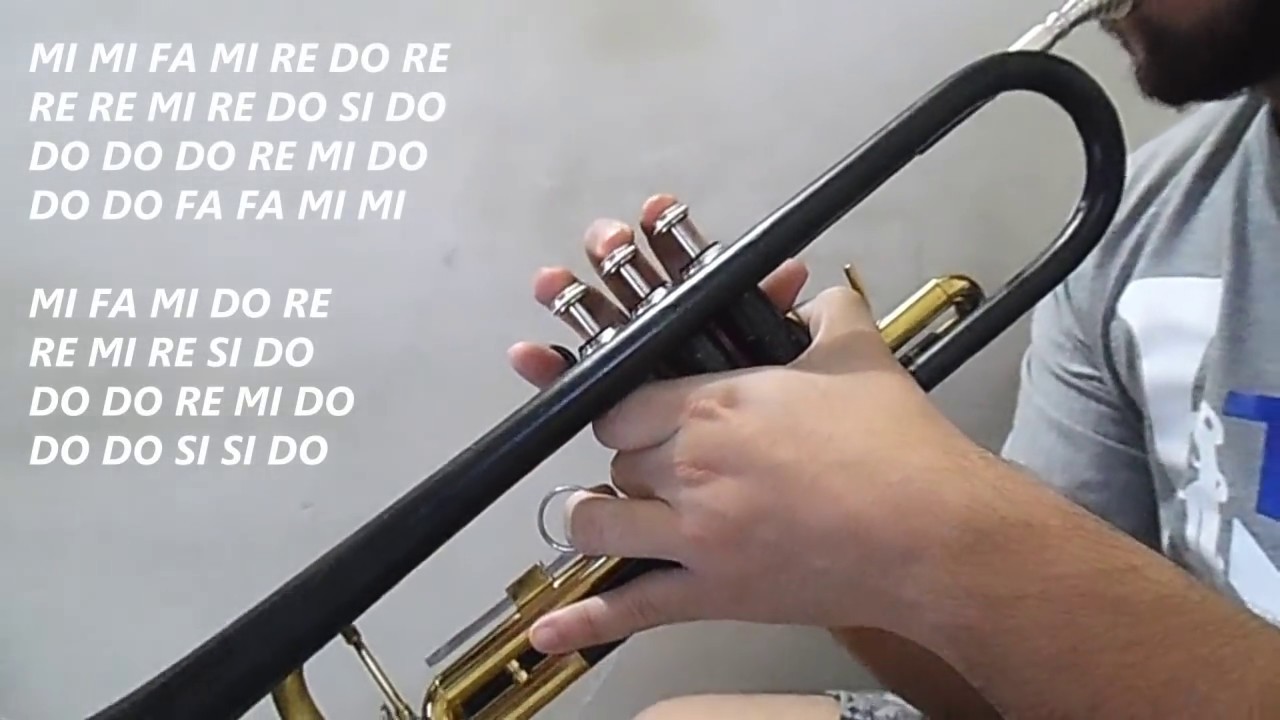 NOTA DE AMOR | TEMA DE LA 12 | Trompeta [2017] David Echeverri