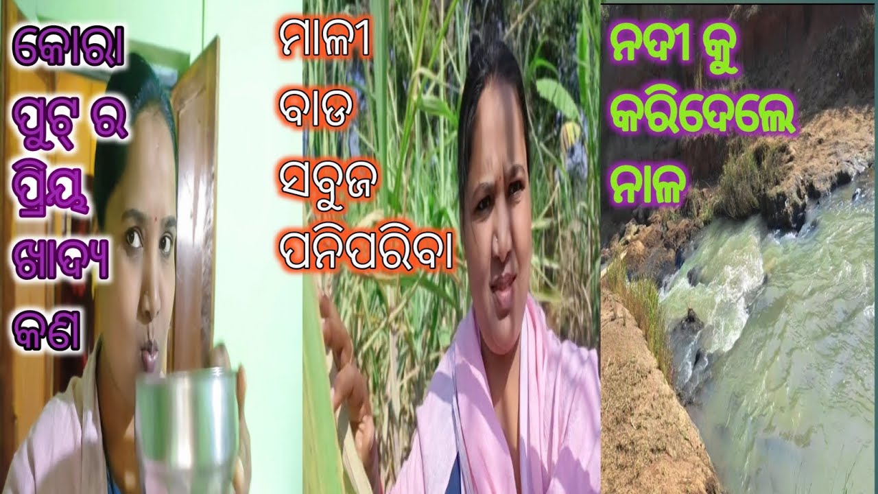 କୋରାପୁଟ୍ ର ପ୍ରିୟ ଖାଦ୍ୟ କଣ/ମାଳୀ ବାଡ ସବୁଜ ପନିପରିବା//Mo duniya 4628