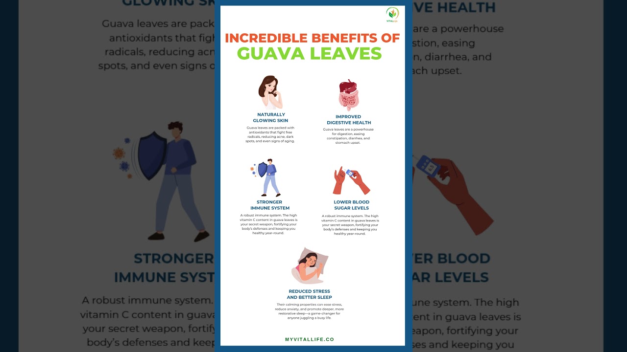 Incredible Benefits of Guava Leaves that