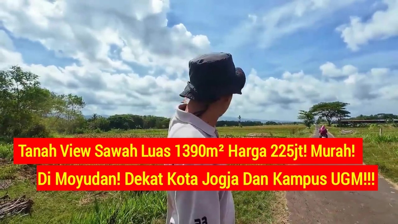 Tanah View Sawah Luas 1390m² Harga 225jt! Murah! Di Moyudan! Dekat Kota Jogja Dan Kampus UGM!!!