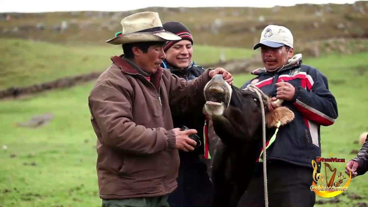 2. (Herranza Andina) - Conjunto Pentagrama Andino