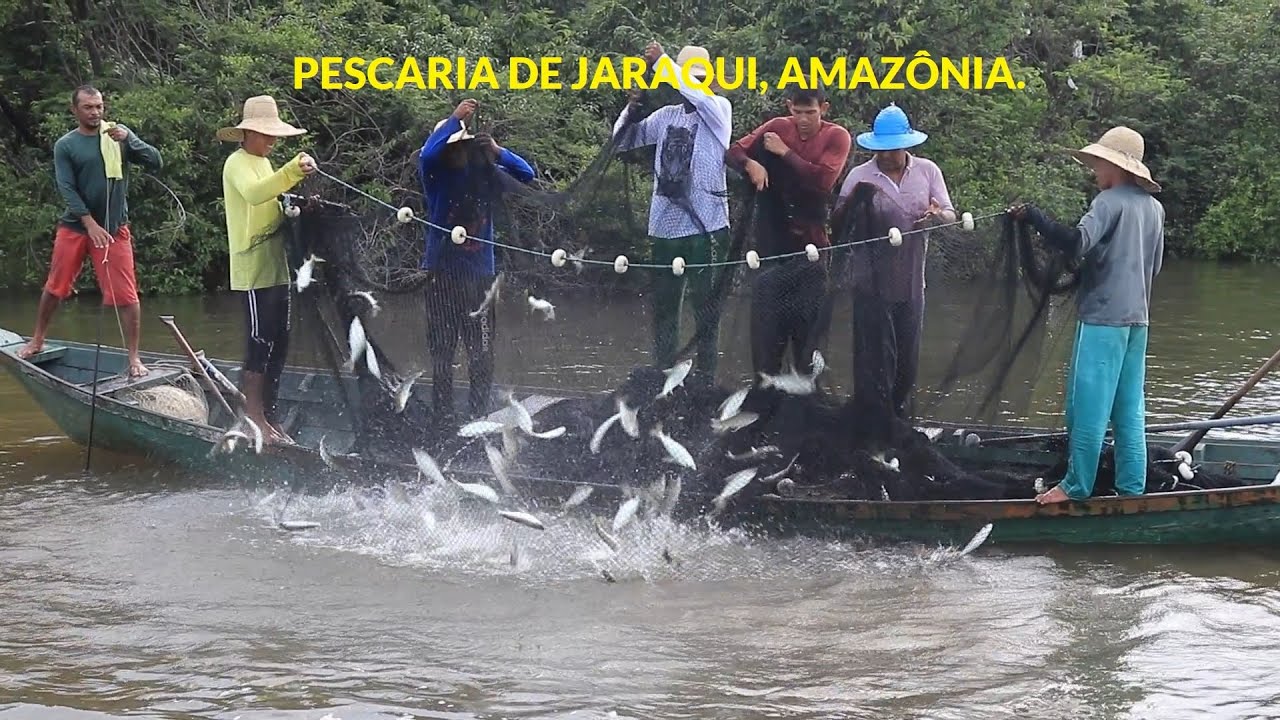 PESCARIA DE JARAQUI  NO LAGO DE TEFÉ, AMAZONAS.