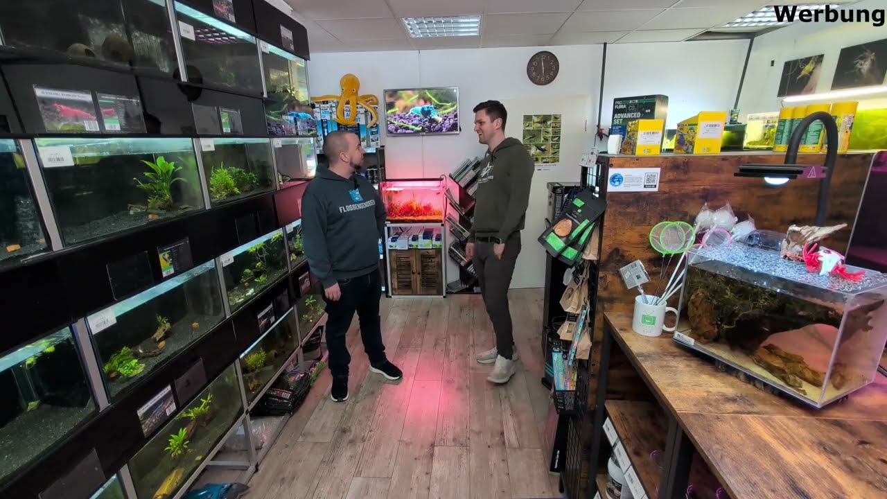 Zu Besuch bei @GarnelenTv - Alles über Aquaristik  – Interview & Store Tour mit Lucas Müller - Aquaristik Store Guide