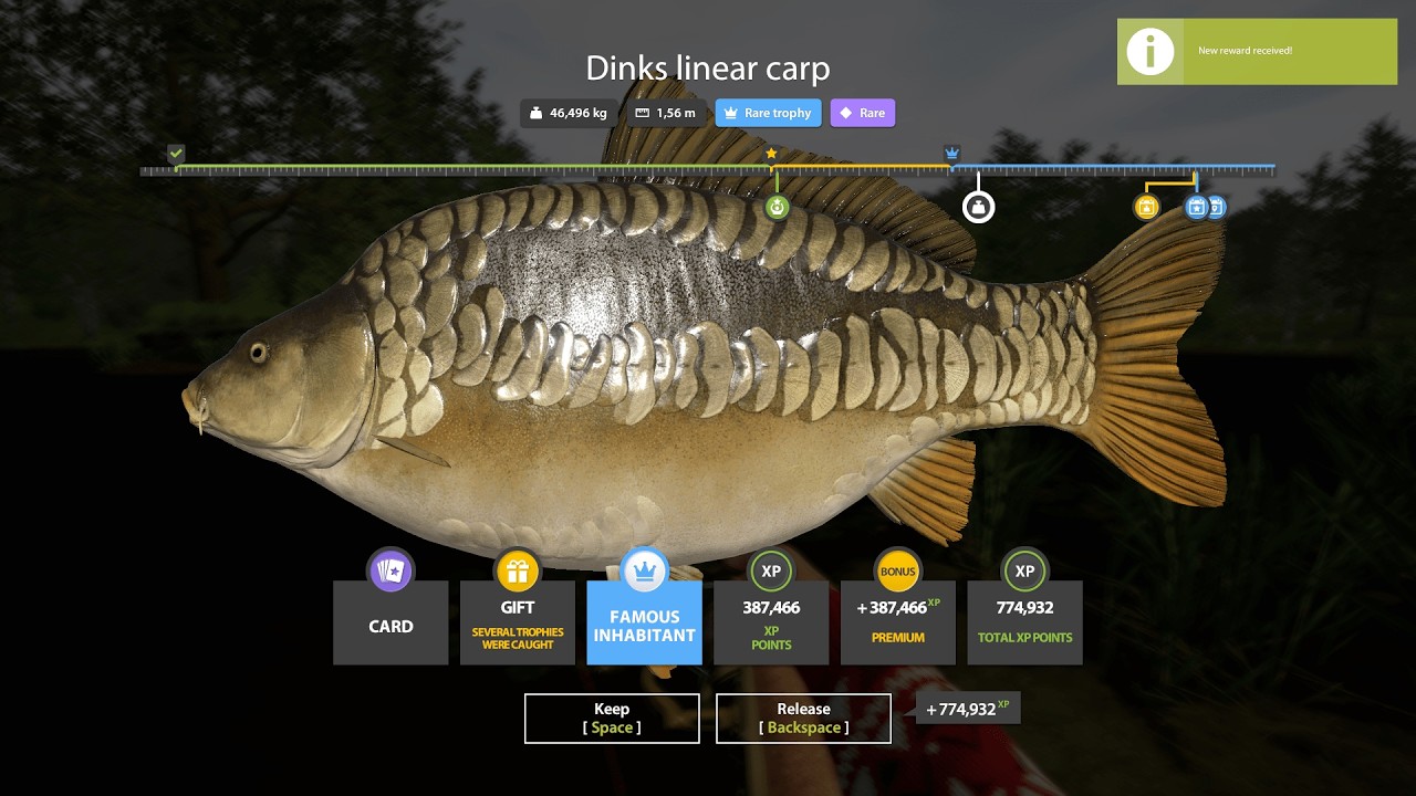 HUGE RARE TROPHY DINKS LINEAR CARP | Russian Fishing 4
