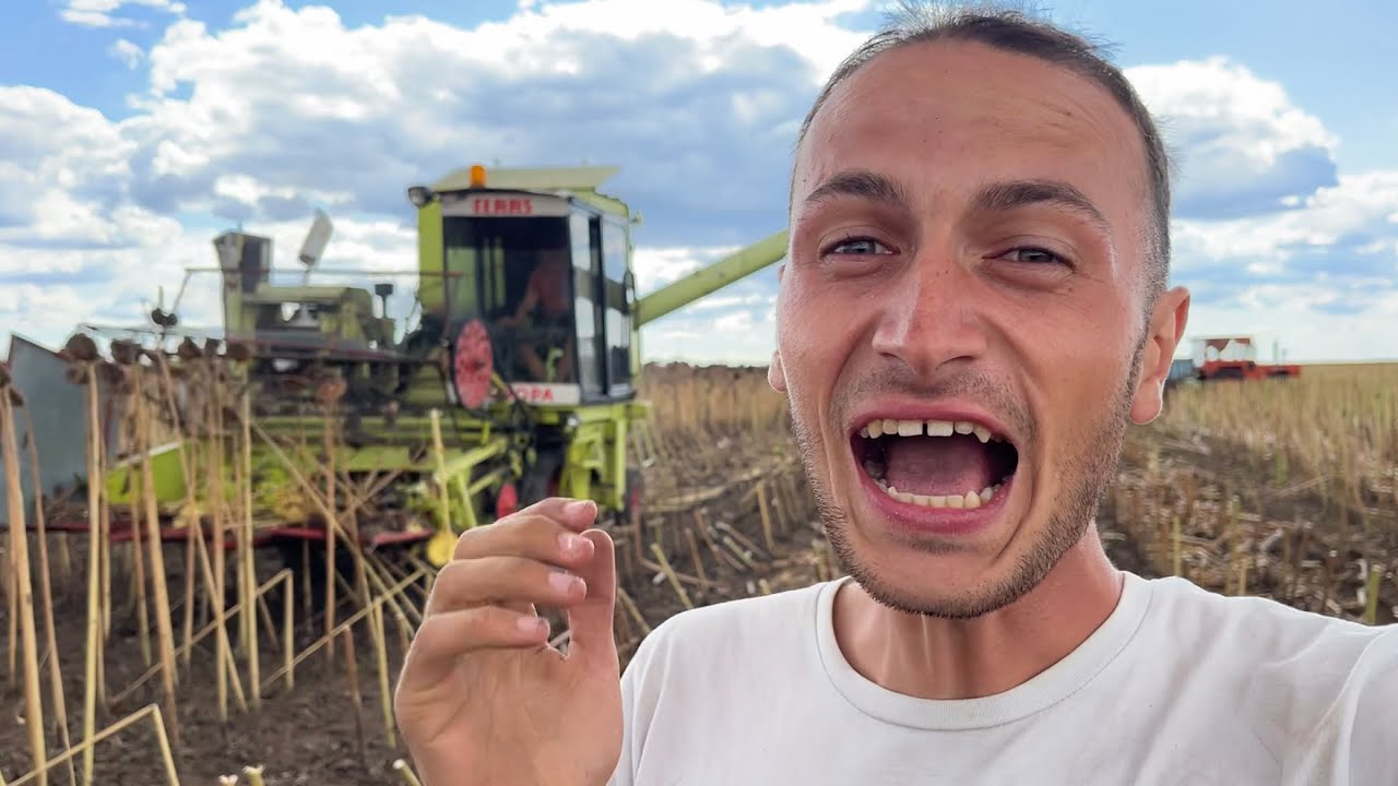 Prima zi de recoltat Floarea Soarelui pe 2023!