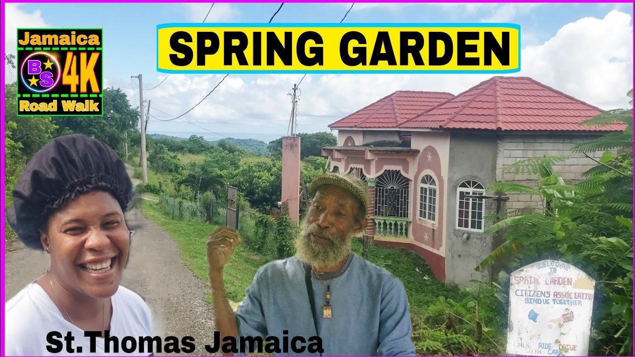 The Beautiful Hills of Spring Garden over looking Station Housing Scheme St Thomas jamaica 