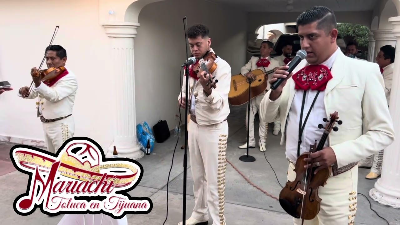 #mariachitolucaentijuana  #mariachisentijuana  #cover 