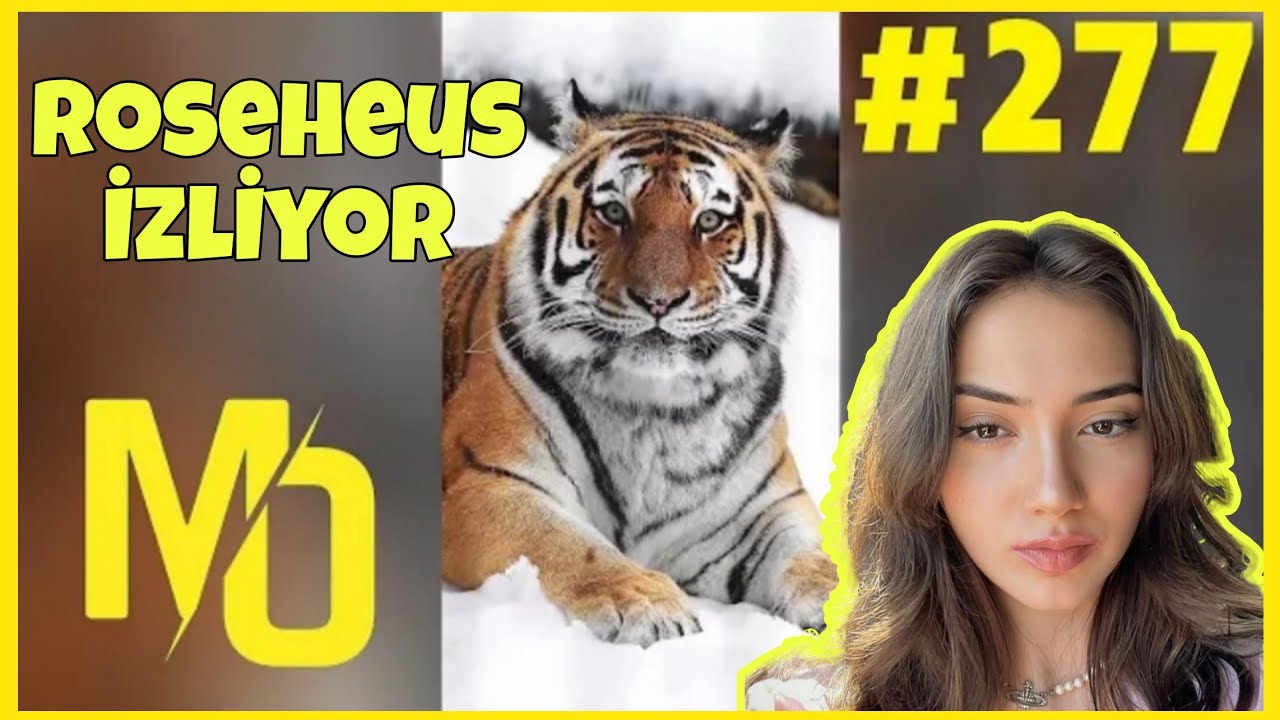 RoseHeus |  Madara Olduk #277 İzliyor @moyedek