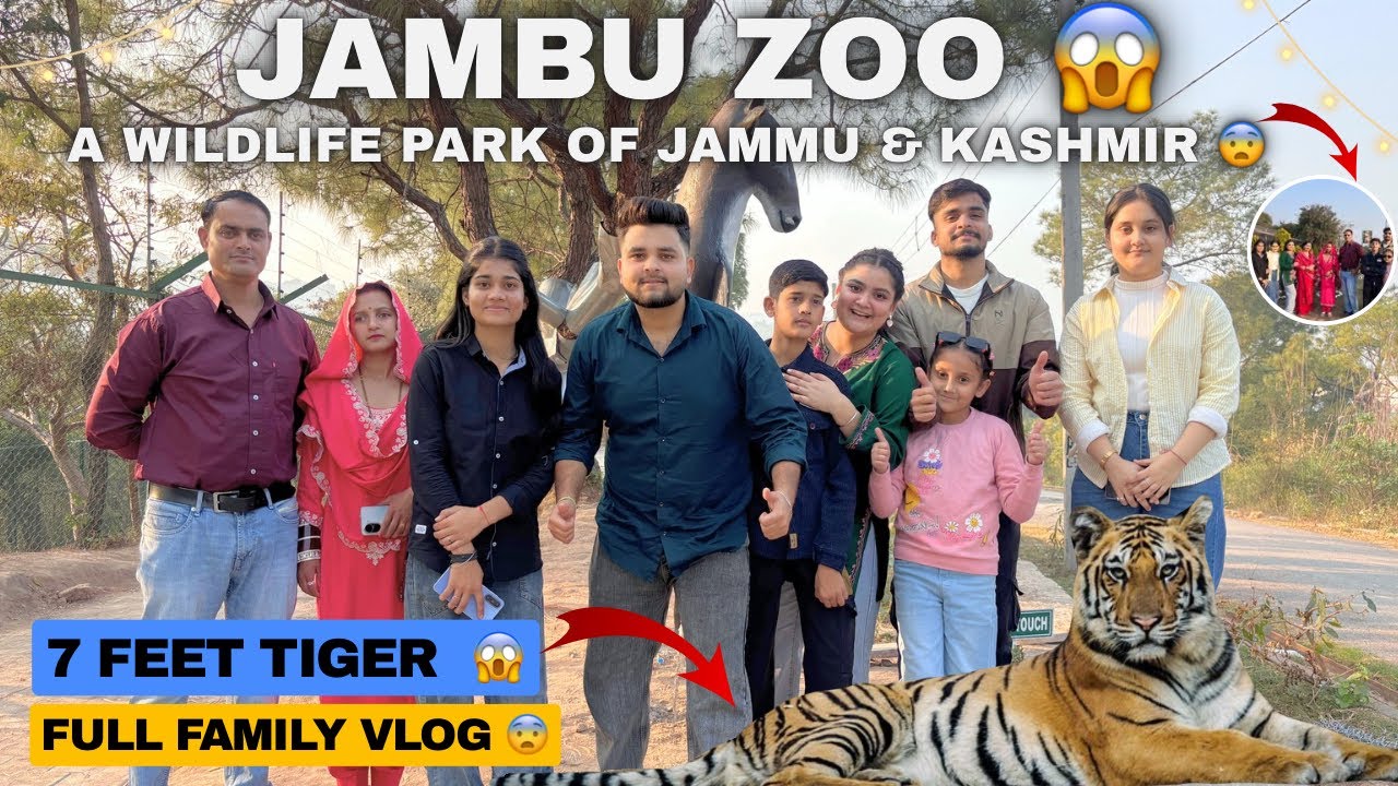 Jambu Zoo | Biggest Zoo In North India | Safari Park Jammu | Animals In Zoo  | Fun in Wildlife Park 